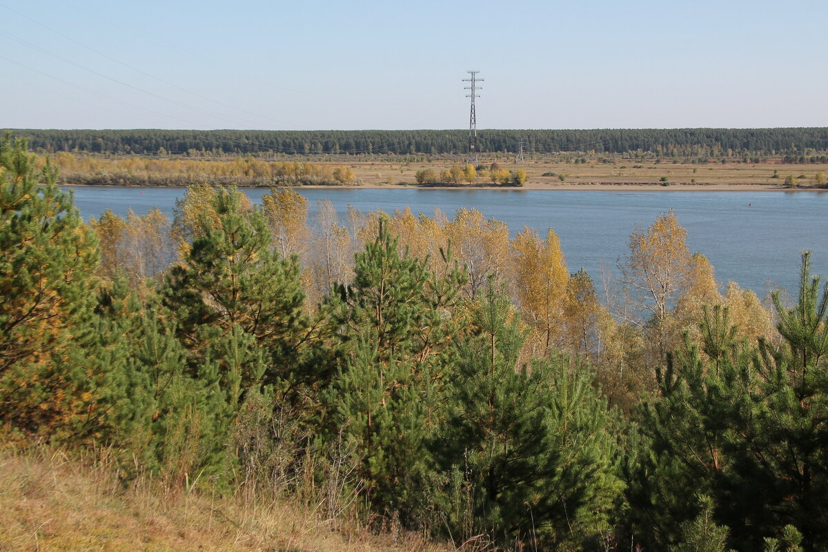 Прогулка по лесопарку - Олег Афанасьевич Сергеев