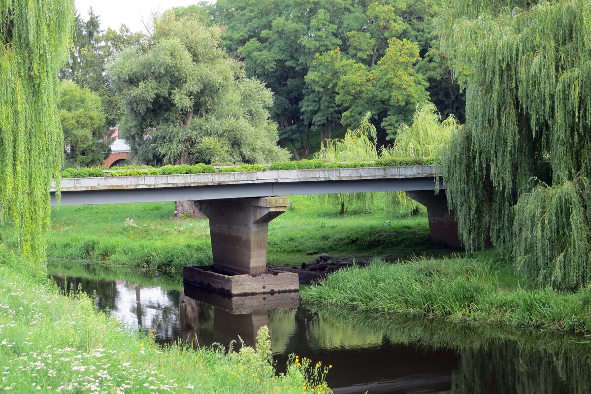 Мост через р. Муховец - Вера Щукина