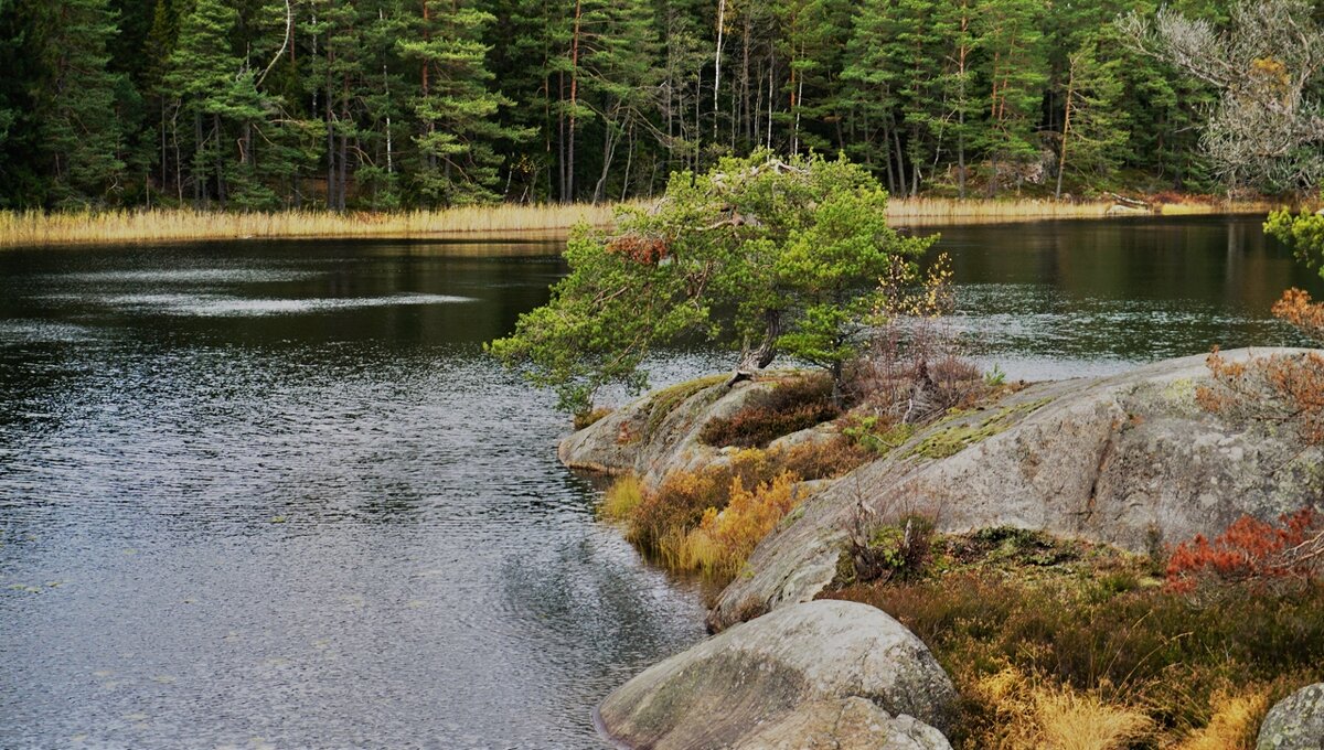 Естественная красота скандинавской природы - wea *