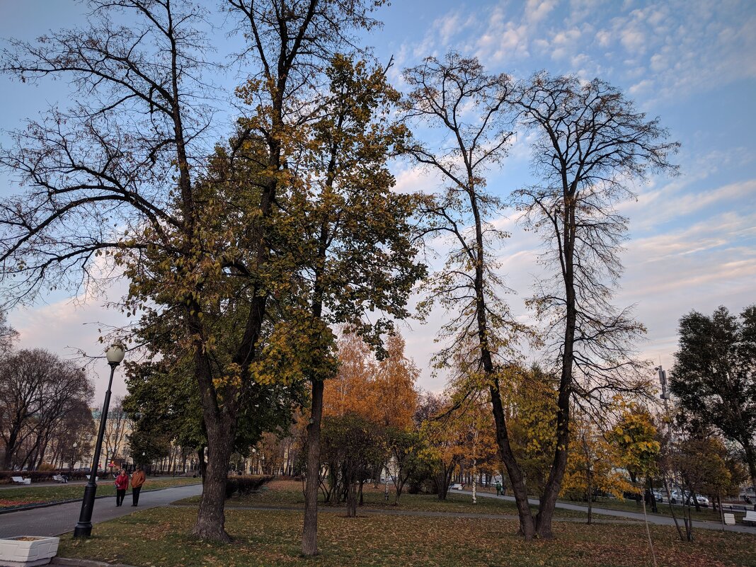 Московский скверик - Марина Птичка