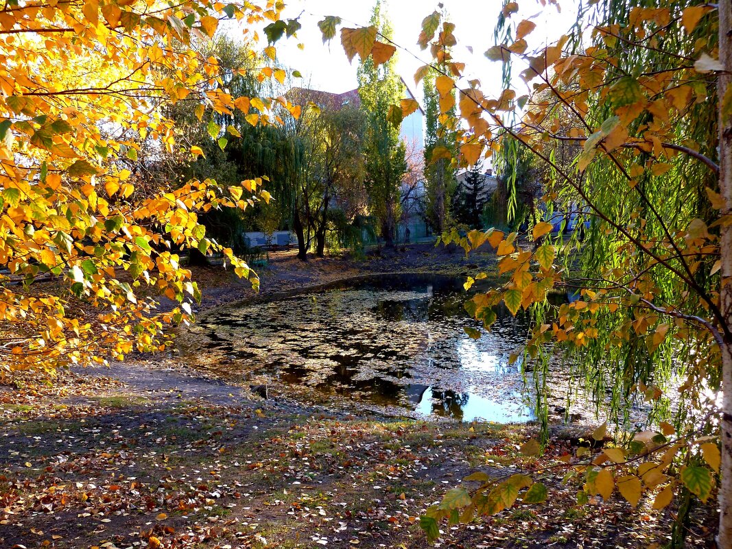 Октябрь в парке - Лидия Бараблина