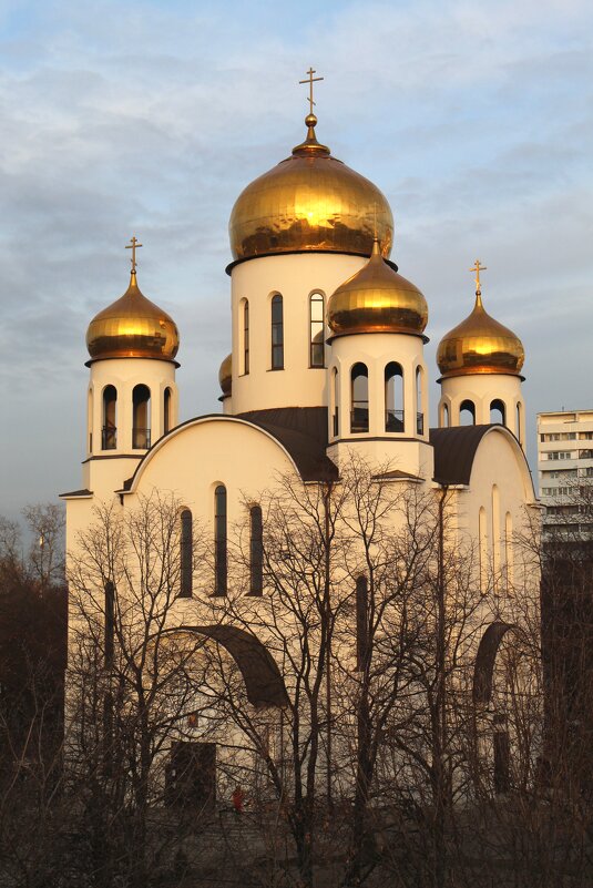 Храм в честь Введения во храм Пресвятой Богородицы. Новогиреево. Москва - Валерий 