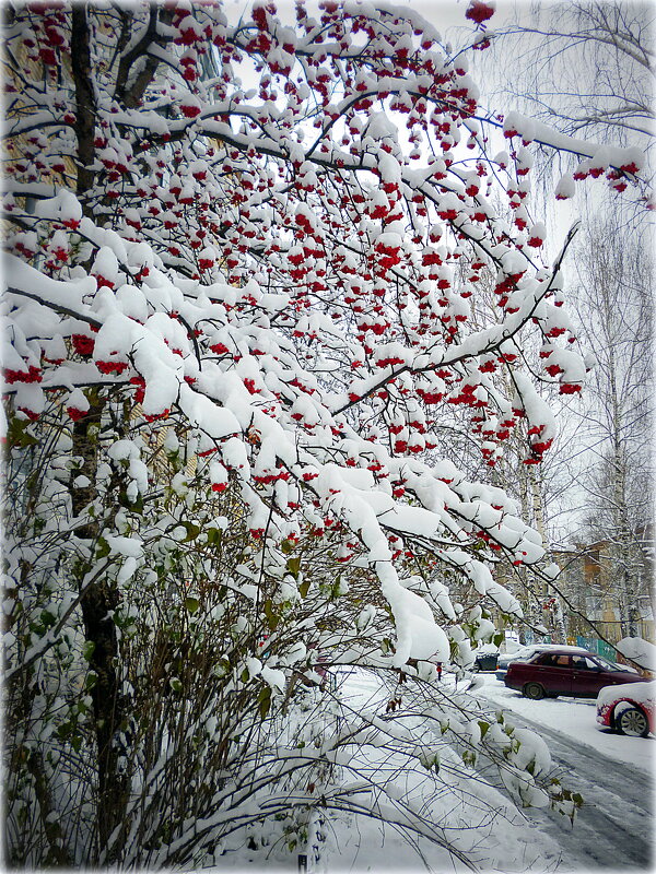 Первый снег.. - Александр Шимохин