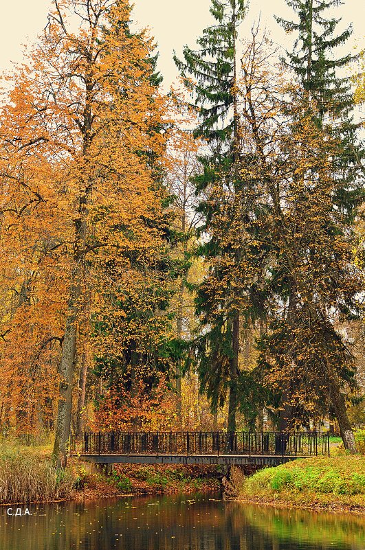 Осень в городе. - Дмитрий 