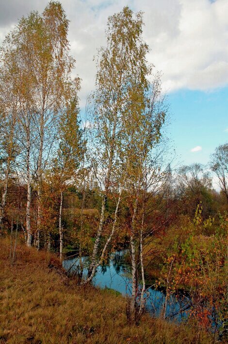 Осенняя пора на реке Серёжа. - Николай Масляев