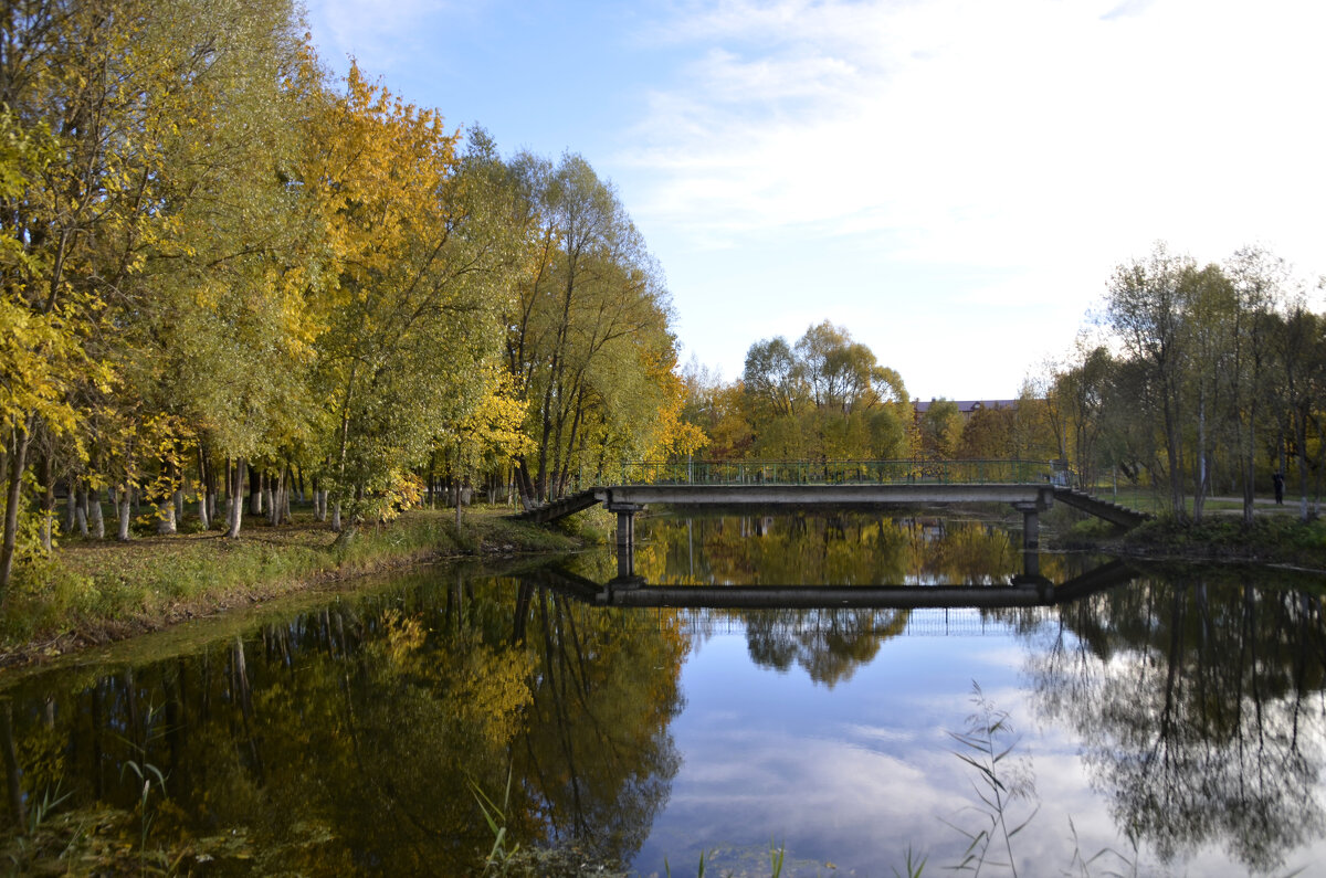 Осень в парке - Нина Синица