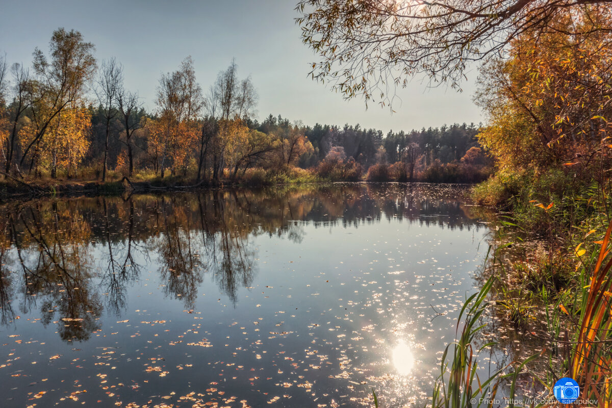 Солнце в озере купалось - Игорь Сарапулов