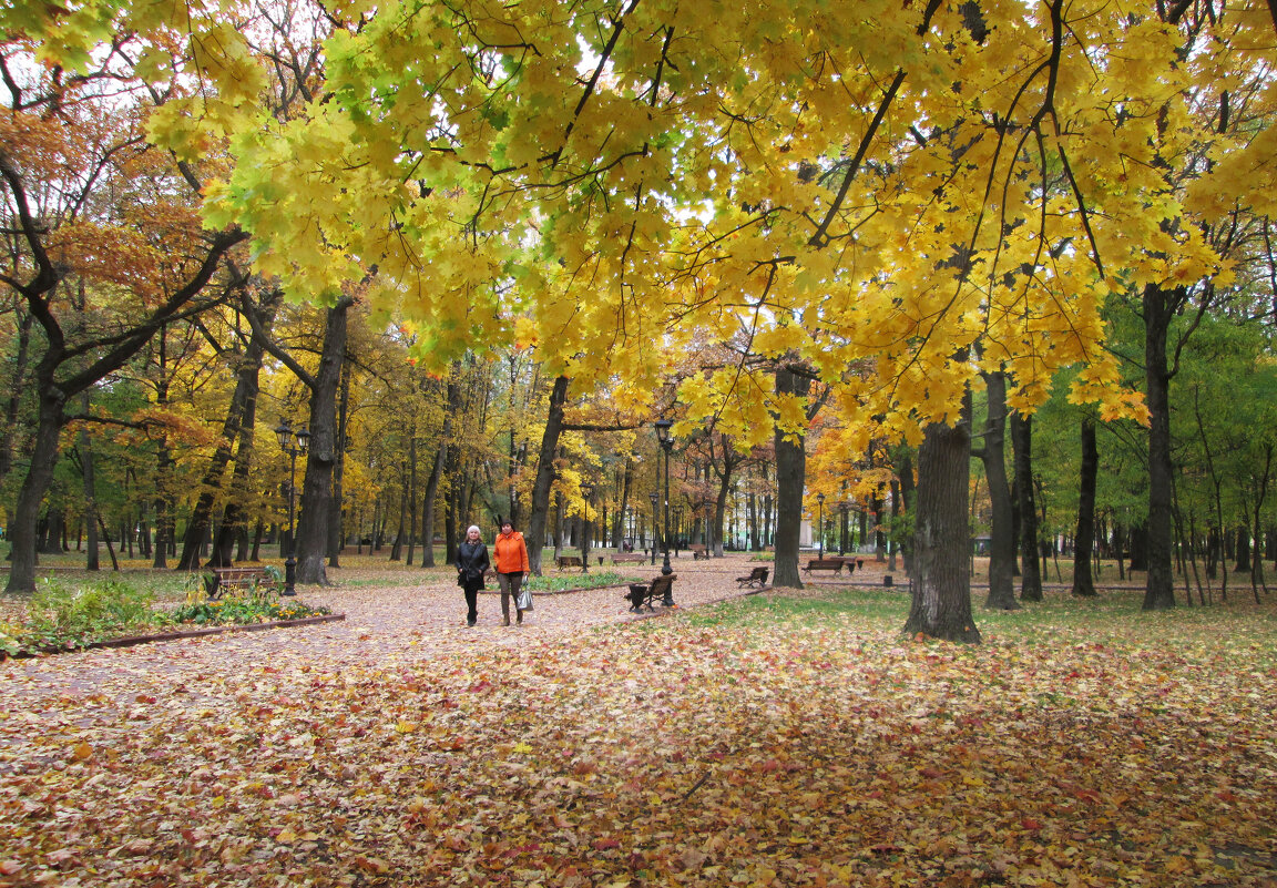 *** - Валентина Береснева