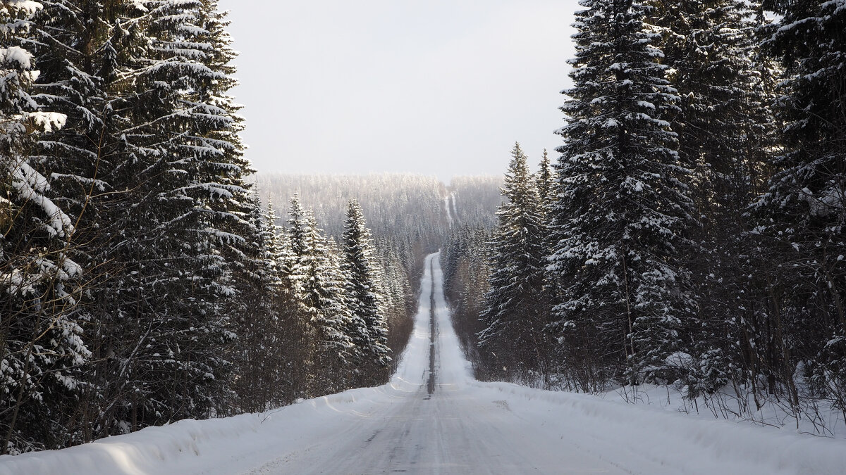 Зимняя дорога - Виталий Жиров 