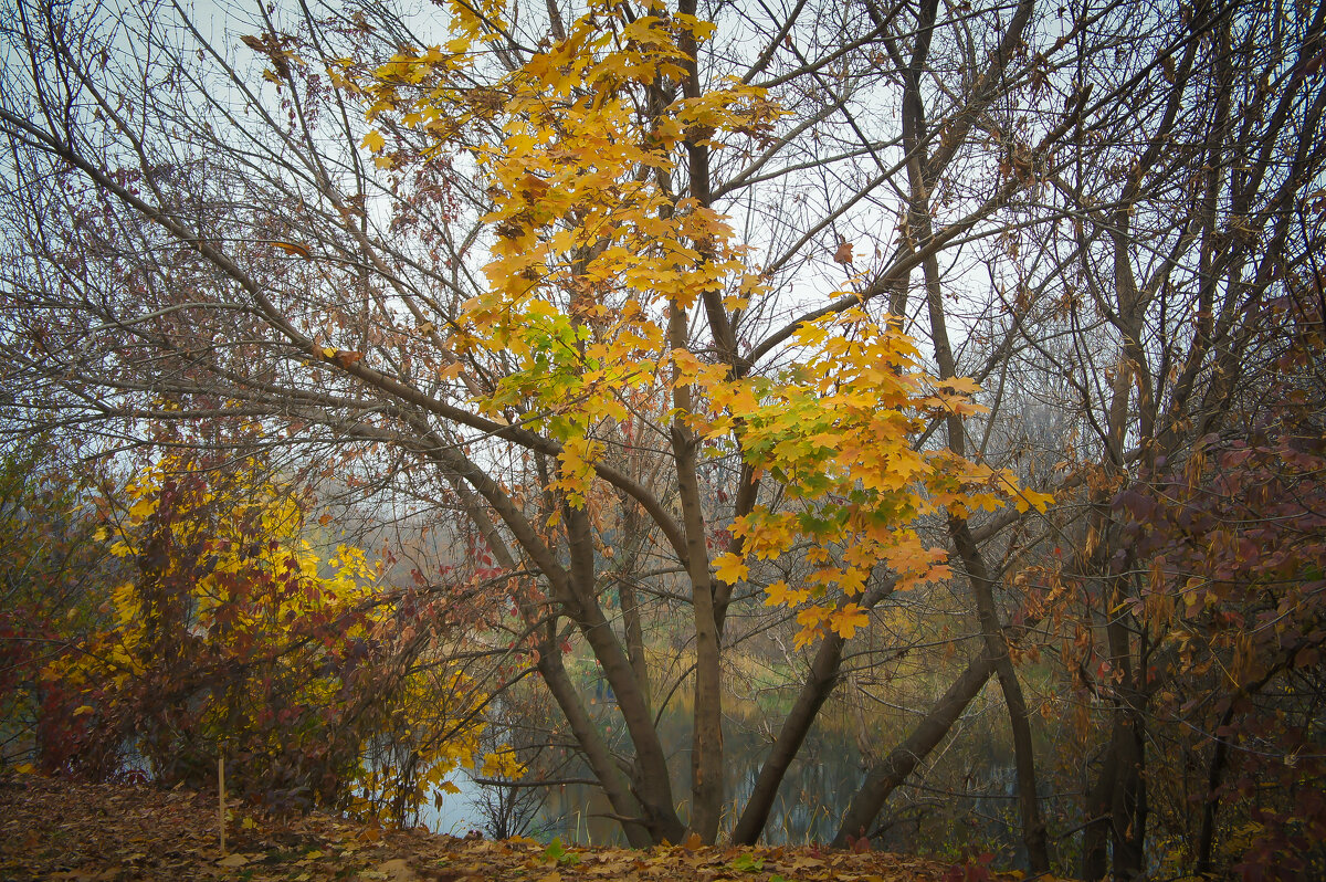 Фотоэтюд - Владимир Кроливец