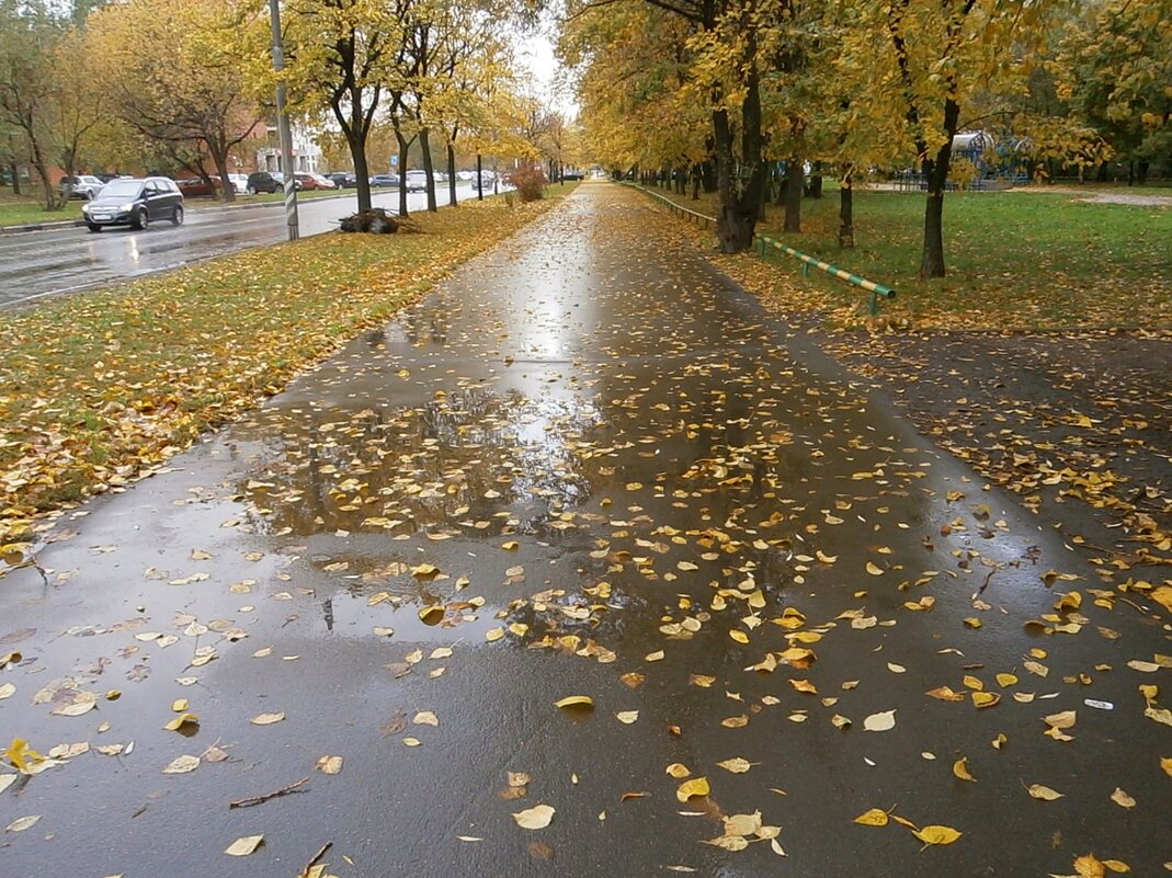 Осень в городе - Ольга Довженко