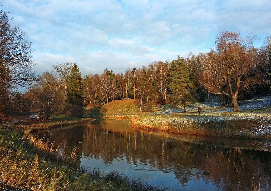 Павловский парк предзимний, пустынный, холодный... - Ирина Румянцева