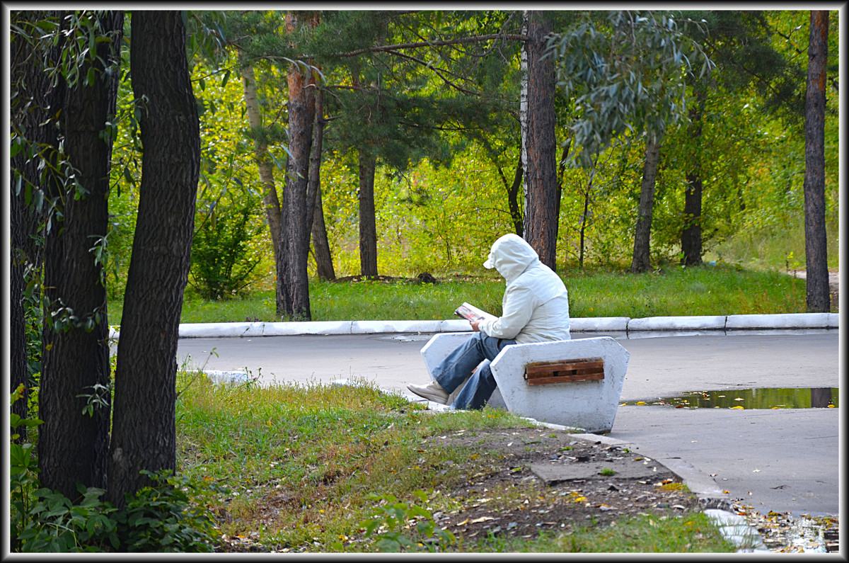 ОСЕННИЙ ПАРК - ЛЮБОВЬ ВОЛГИНА