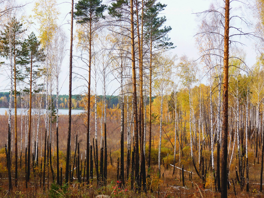 Оз Табанкуль Чебаркуль