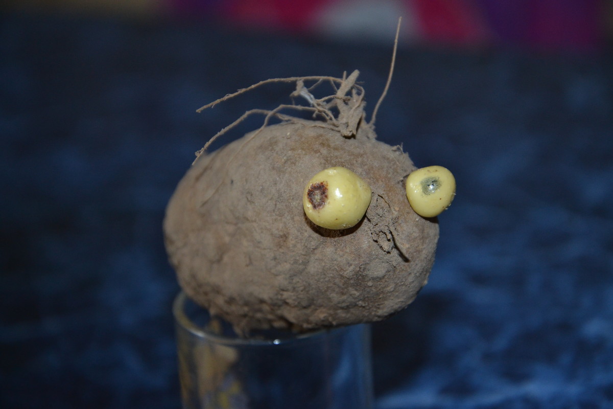 суровый белорусский картофель - Irina Che 