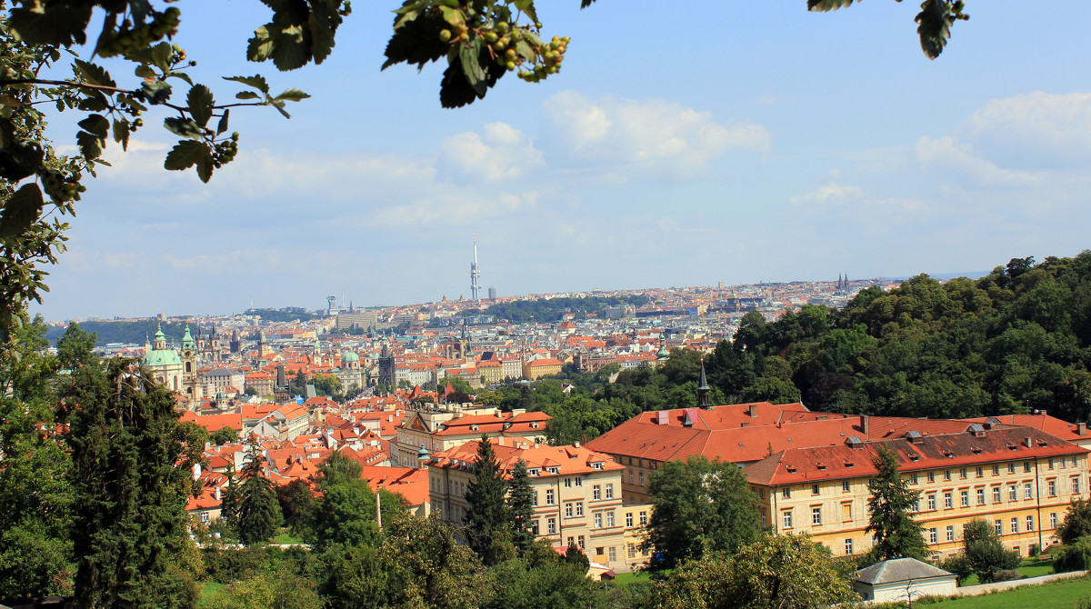 Prag - alexander halezin