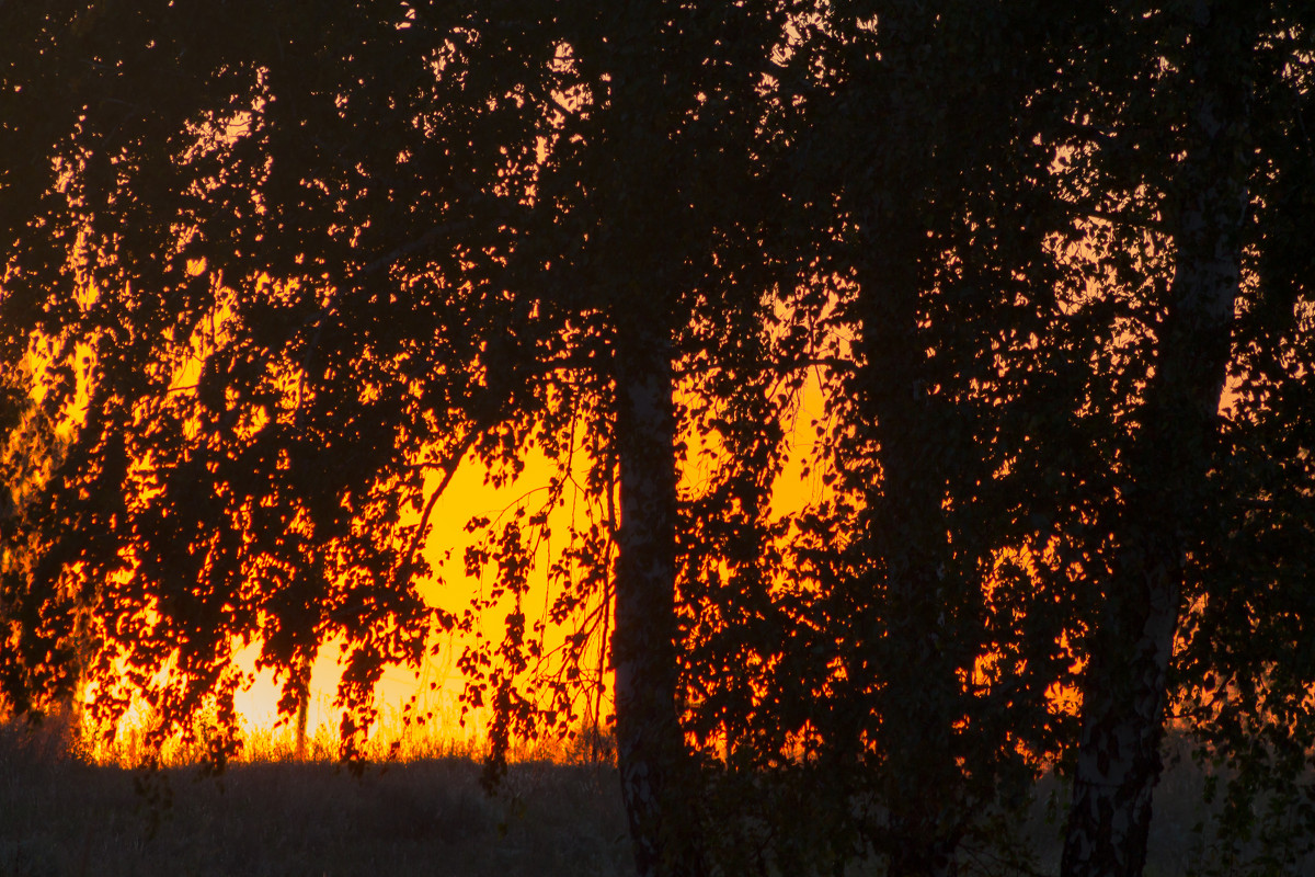 Пожар заката - Денис Соломахин