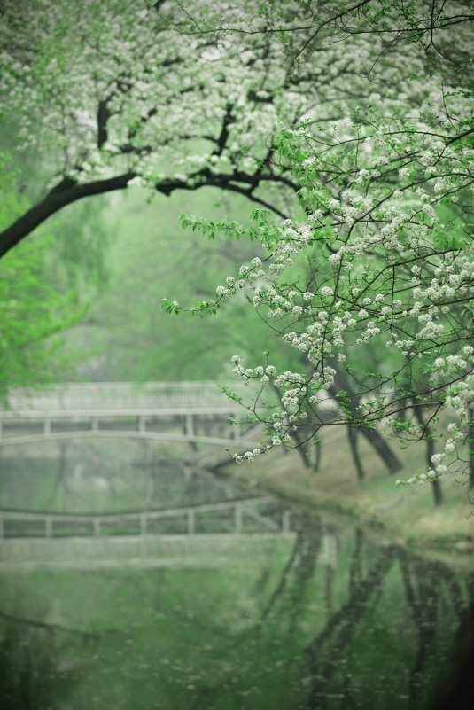 Beautiful Spring - Дмитрий Кудрявцев