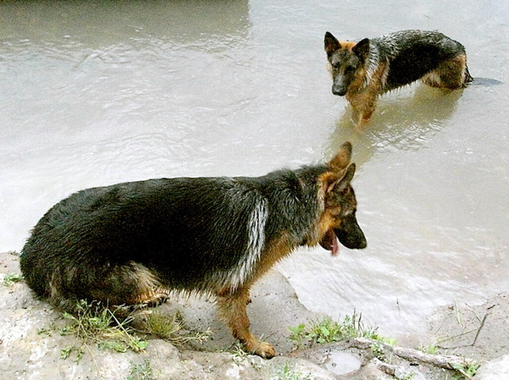 - И что все находят в этой воде? - Лия ☼