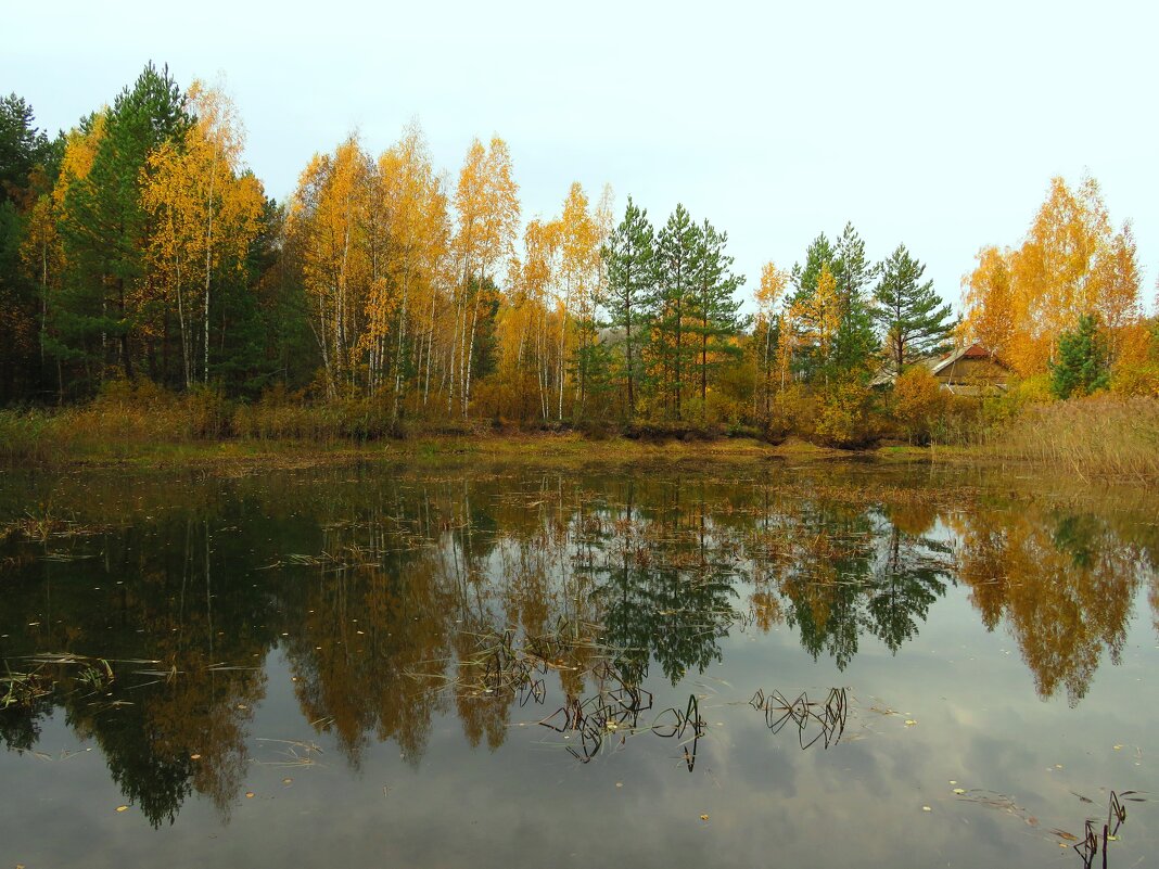 Отражение в деревенском пруду - Андрей Снегерёв