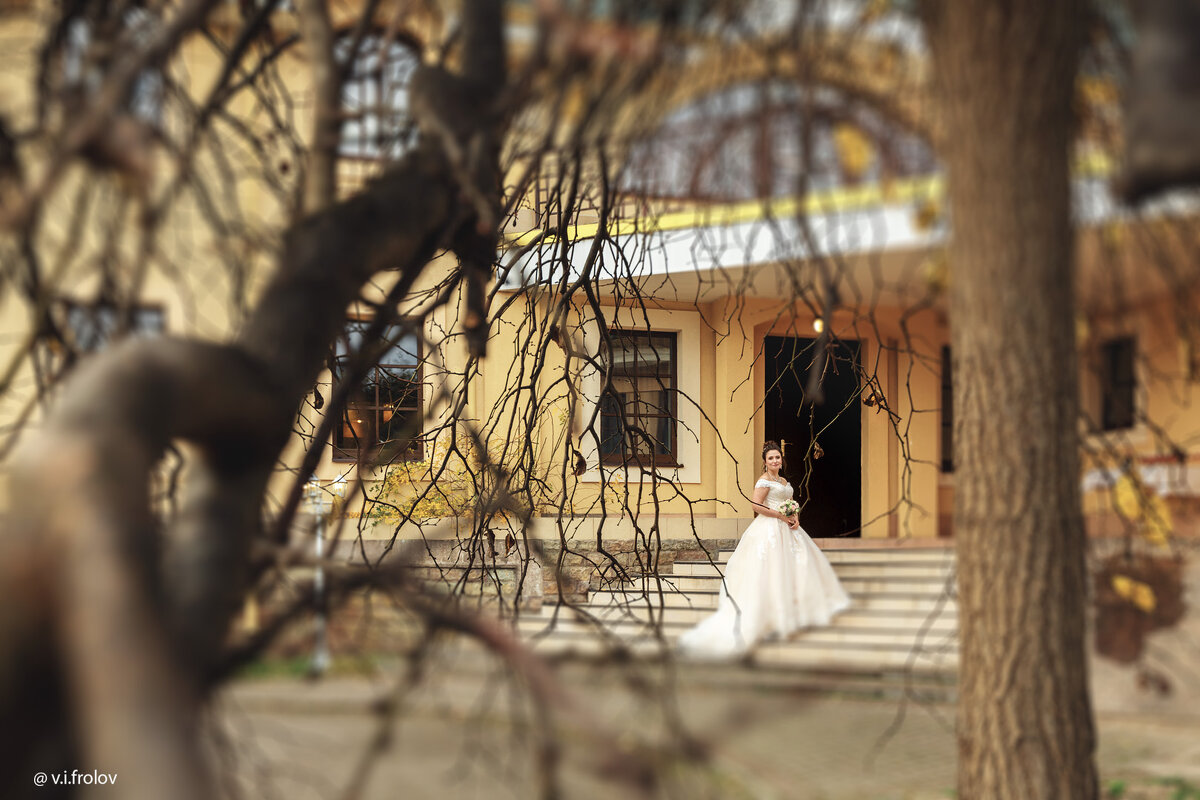 Портрет невесты - Валерий Фролов