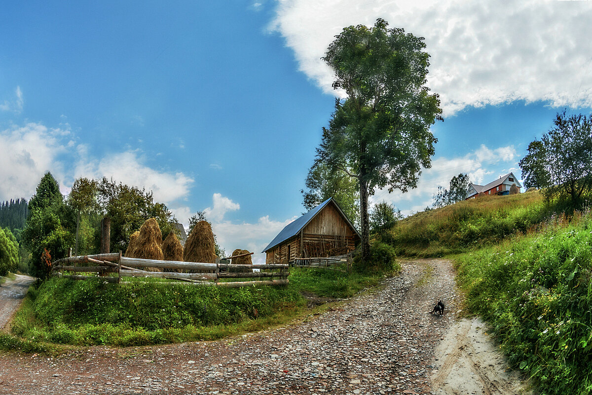 В Карпатах. - Юрий Гординский