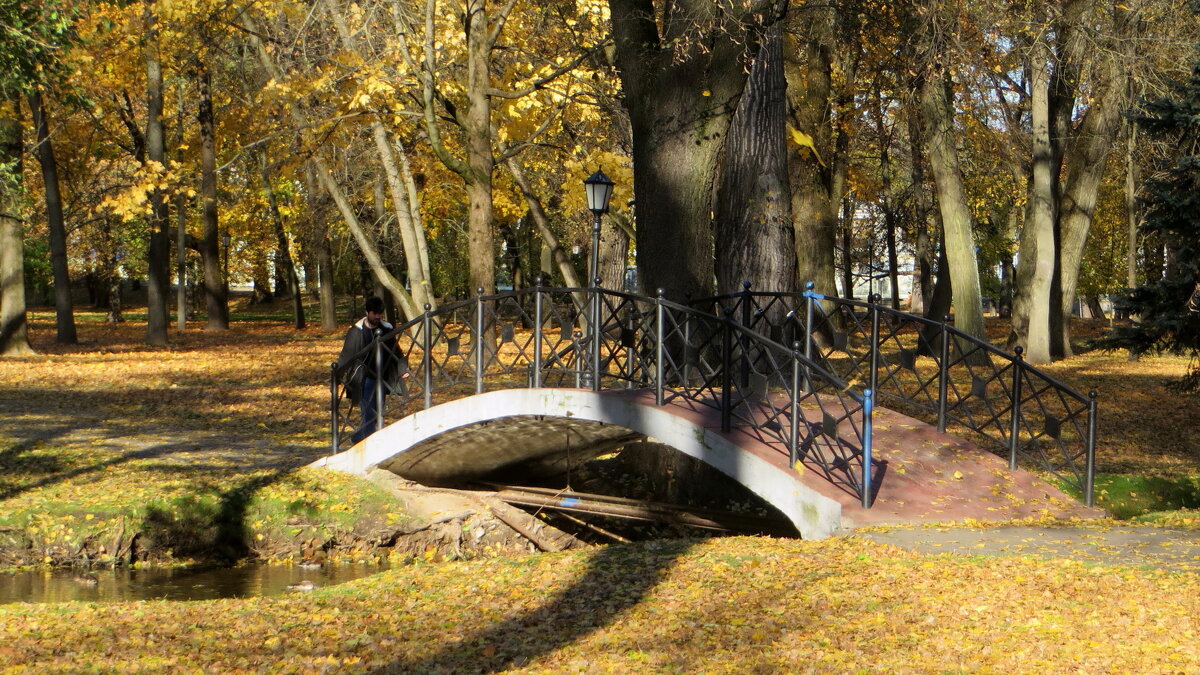 В осеннем парке - Ирина Олехнович