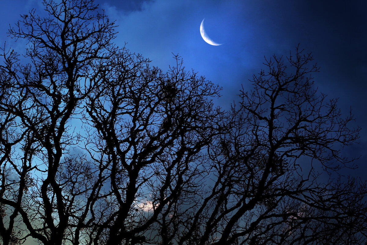 Ночь, луна и в небе облака... - Alex ARt