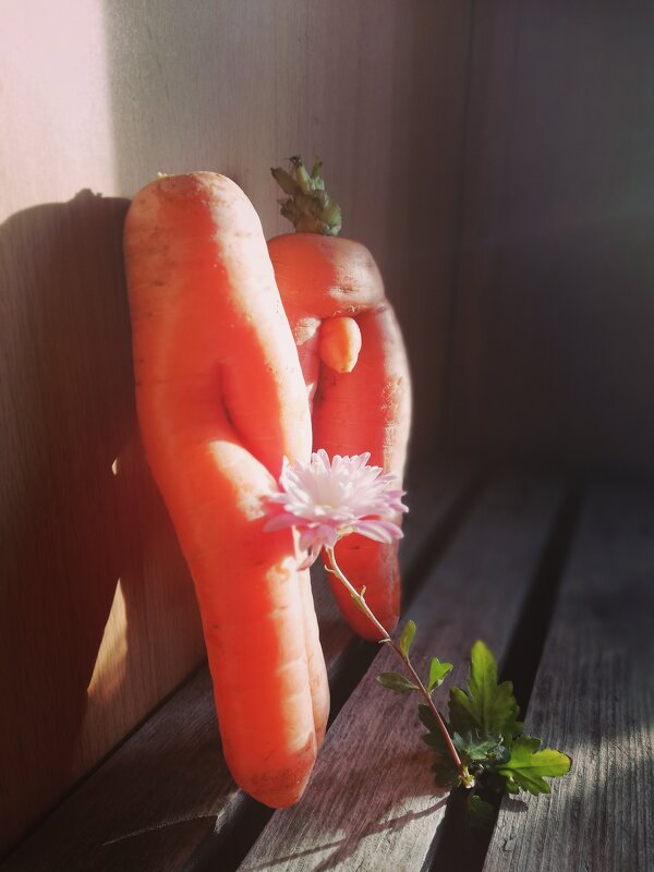 любовь-морковь... - людмила дзюба 