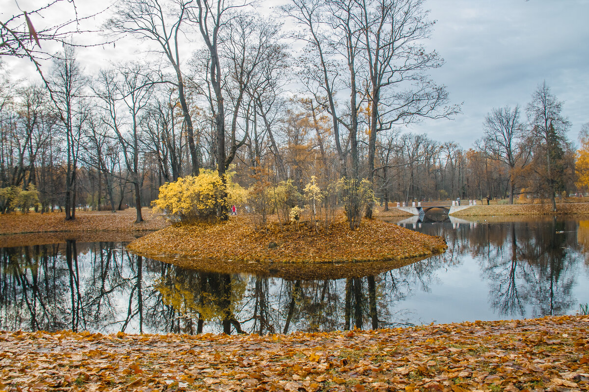 Александровский парк - navalon M