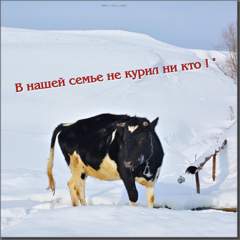 Не курю и другим не советую ! - Юрий Ефимов