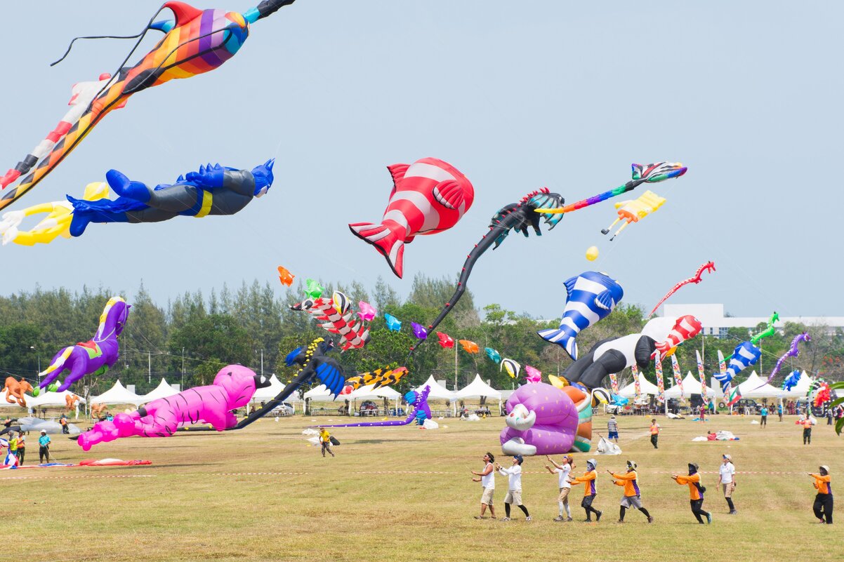 Kite Festival - Евгения 