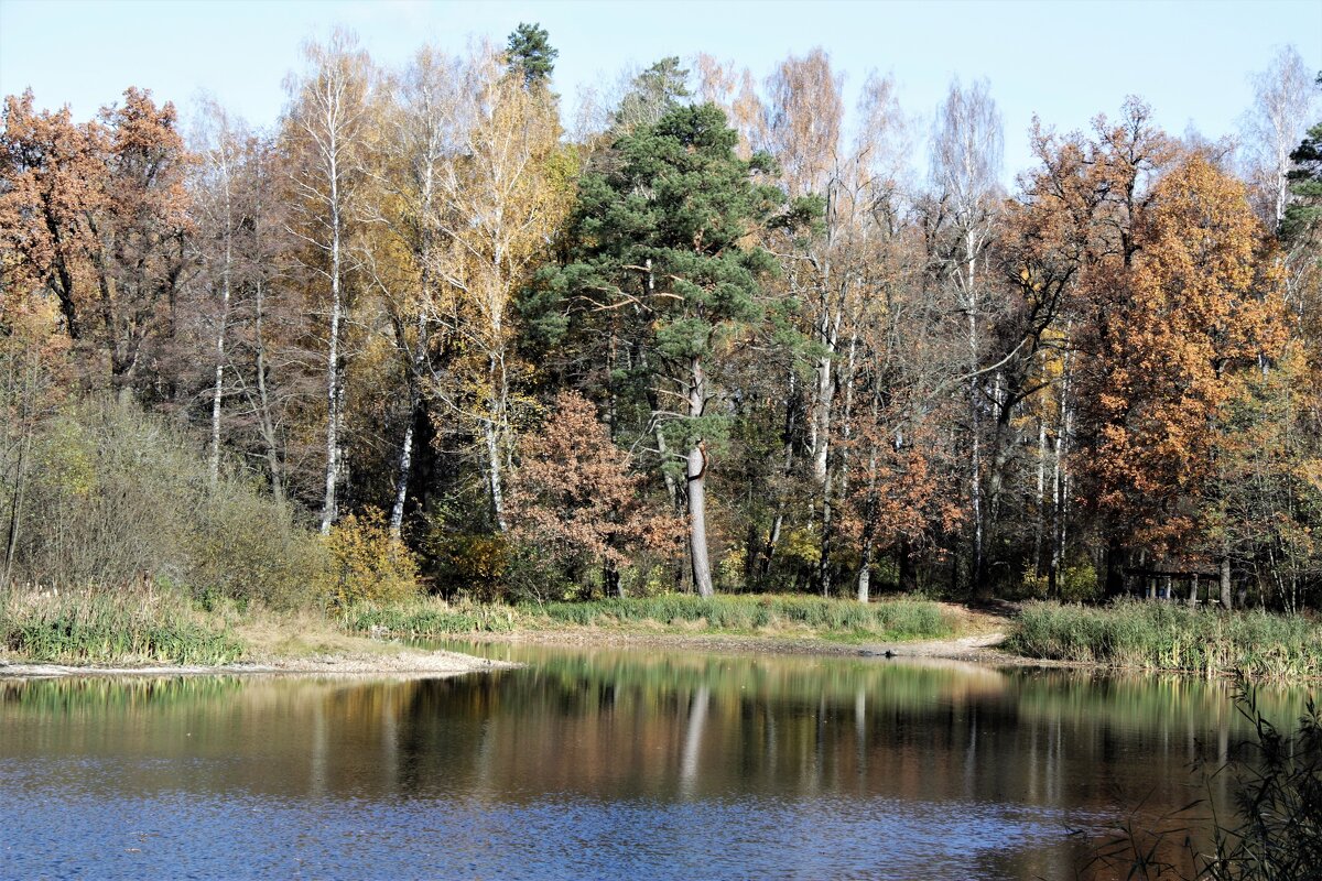 осень - Владимир Холодницкий