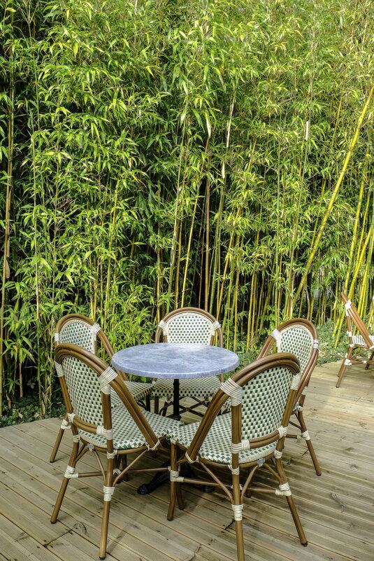 кафе в бамбуковом лесу - Георгий А