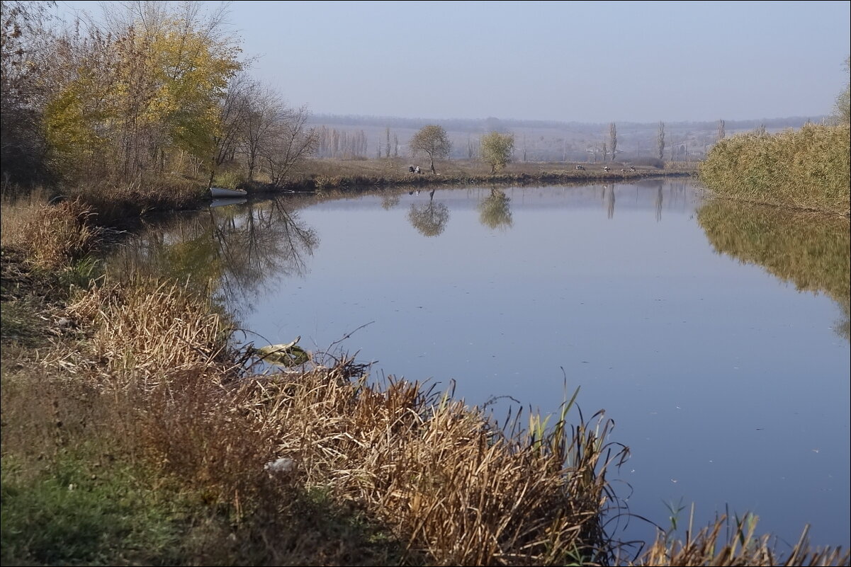 Излучина реки Миус - Владимир Стаценко