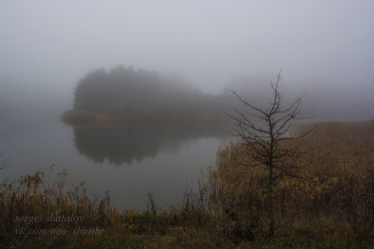 Под покровом тумана - Сергей Шаталов