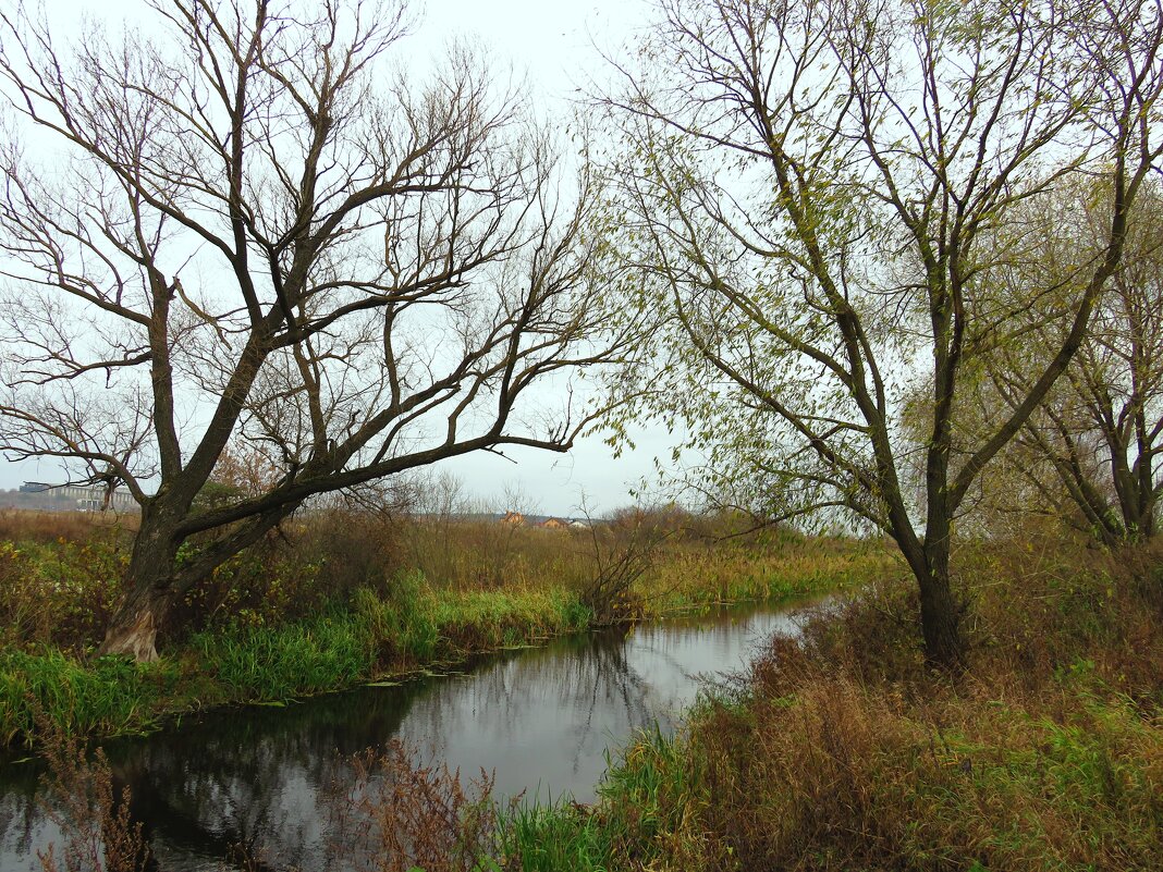 Осень на речной протоке - Андрей Снегерёв