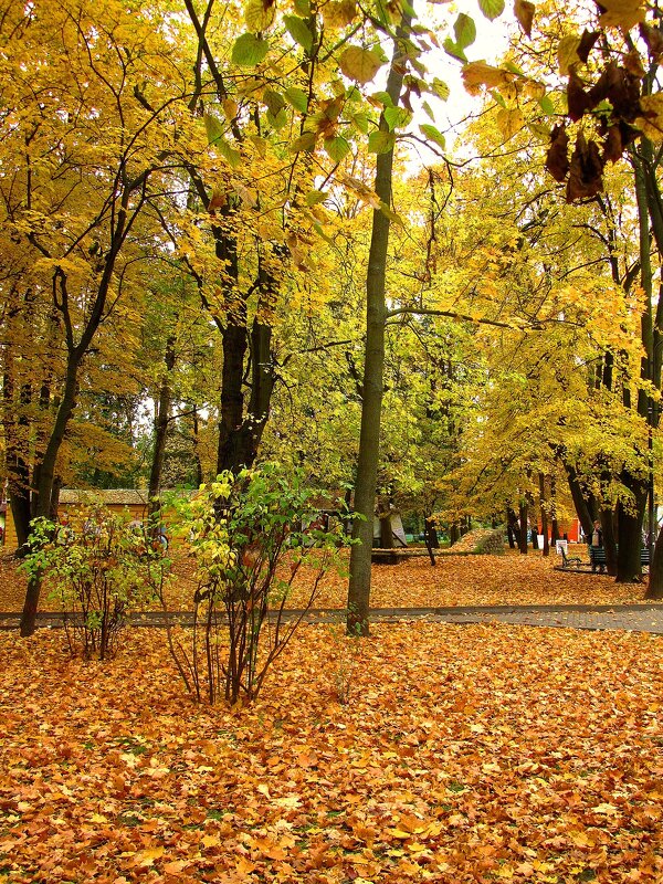 Осенний пейзаж - Сергей Карачин