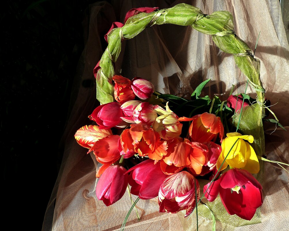 Корзина тюльпанов на столе - Лидия Бараблина