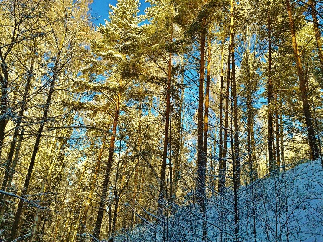 сюжет - Владимир 