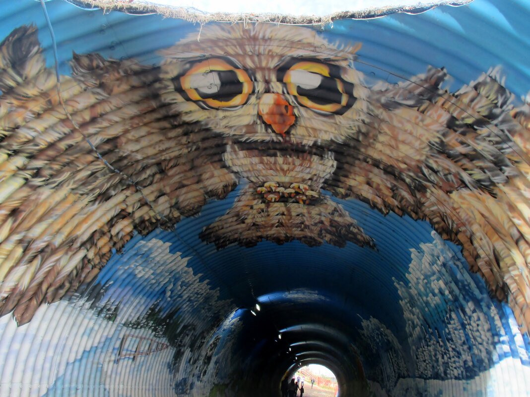 Роза Хутор... граффити в переходном тоннеле - Нина Бутко