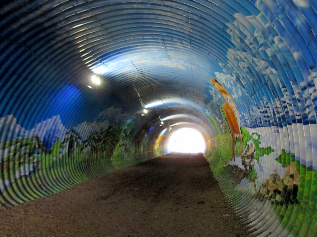 Роза Хутор... граффити в переходном тоннеле - Нина Бутко