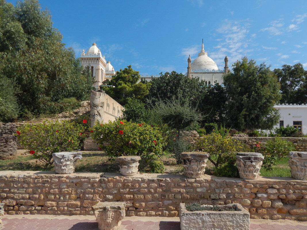 Тунис. Карфаген. Собор Людовика Святого. - Лариса (Phinikia) Двойникова