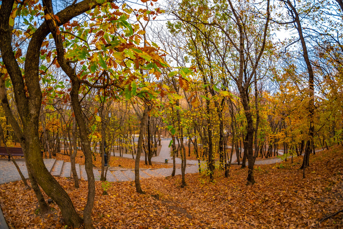 Осенний парк - ganzikov 