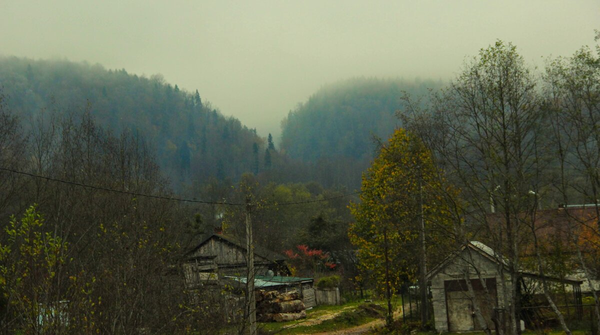 Таежный уголок - Вячеслав Случившийся