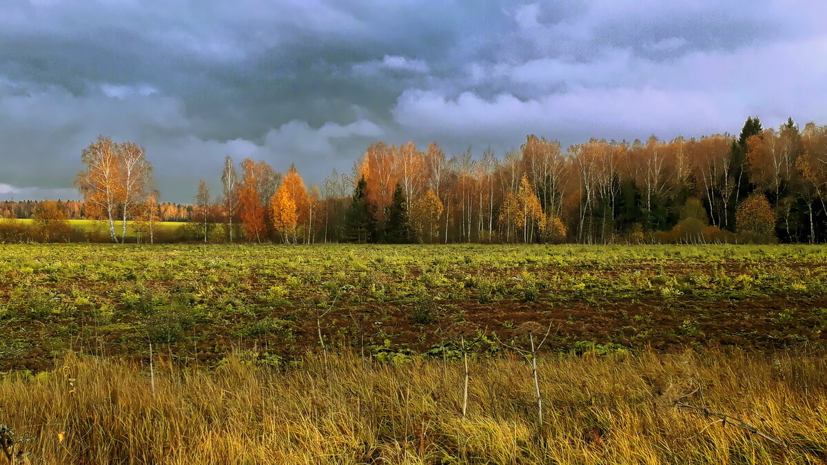 КРАСКИ ОСЕНИ - Лара Симонова 