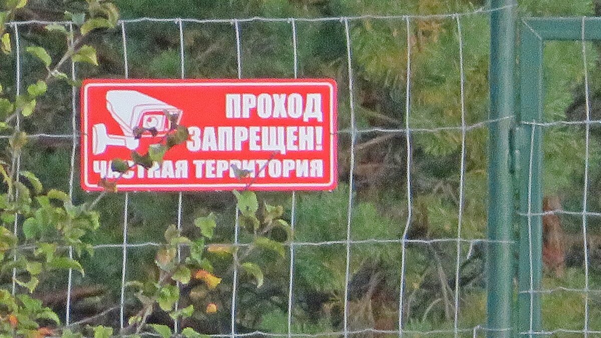 Вот  так  теперь встречает часто  лес на  Тамбовщине ! - Виталий Селиванов 