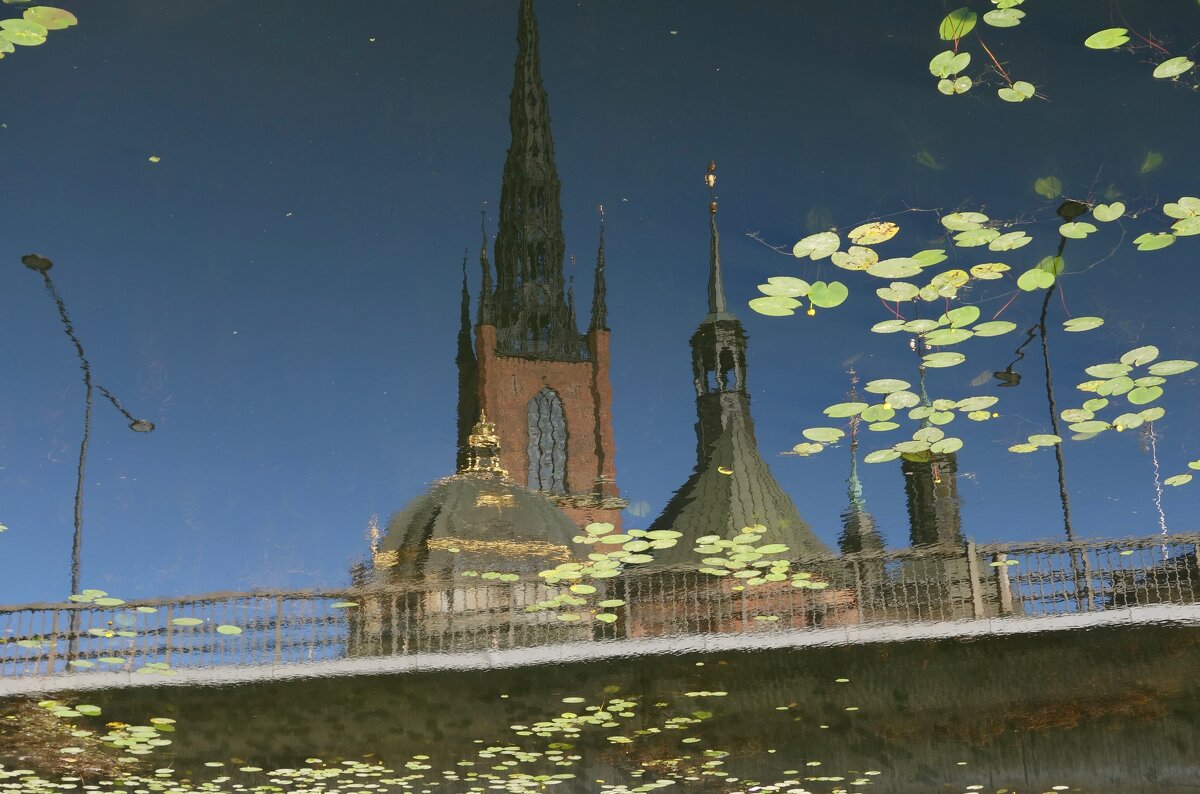 отражение Стокгольма - Елена 