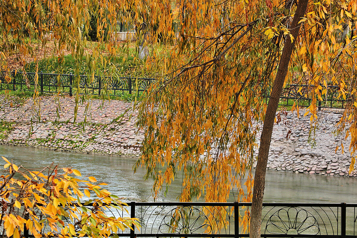 Осень в Ташкентском экопарке - Светлана 