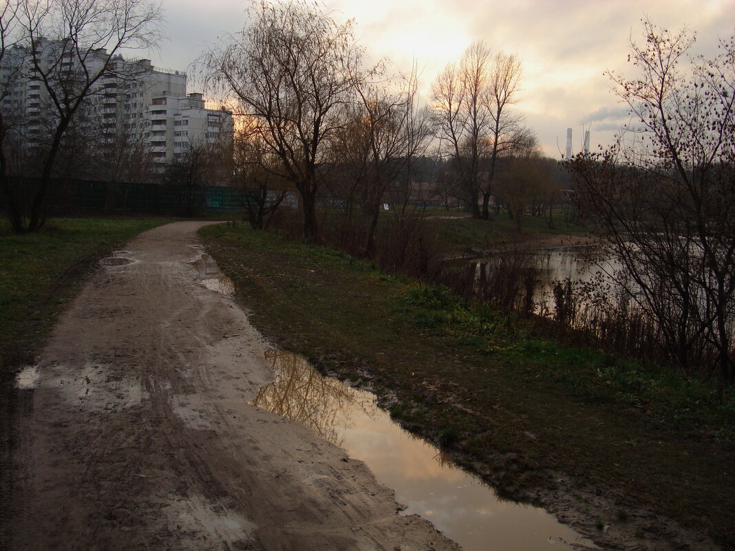 Иногда и в ноябре везет с солнцем - Андрей Лукьянов